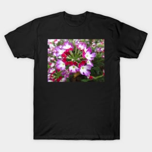 blooming pink flowers, garden, blooms, petals, T-Shirt